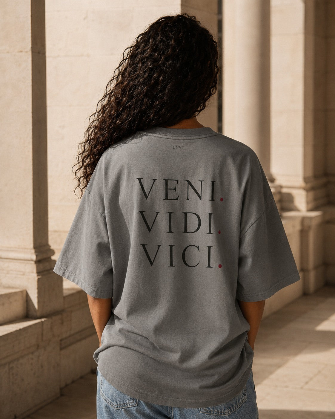 UNYTEEBOARD Veni Vidi Vici Gris — t-shirt gris